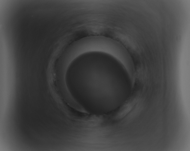 X0000101391009200807071153