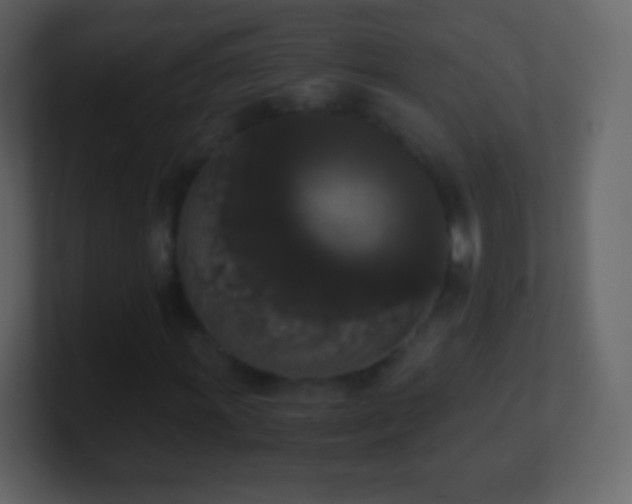 X0000101391011200807071153