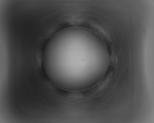 X0000101391012200807071153