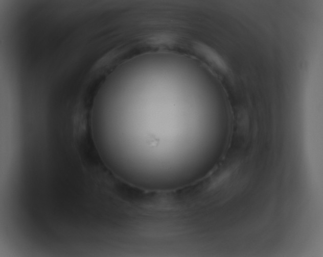 X0000101391016200807071153