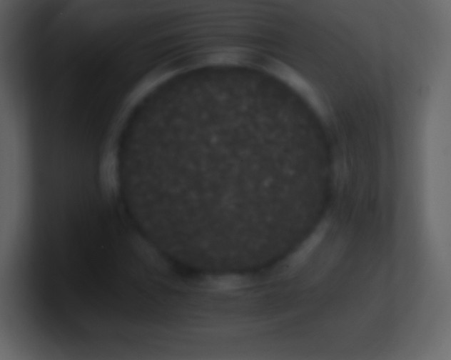 X0000101391019200807071153
