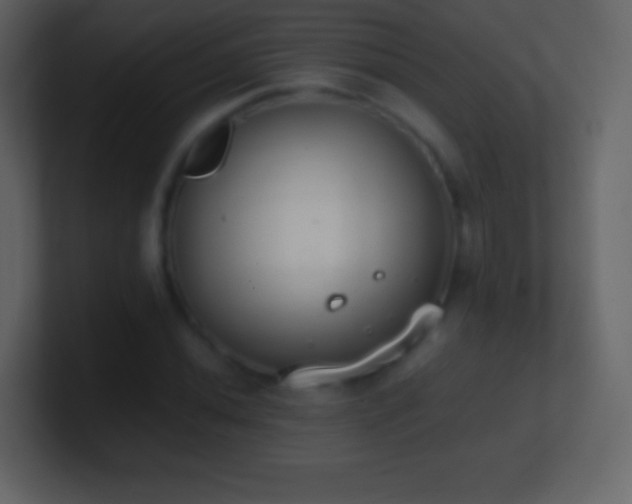 X0000101391020200807071153