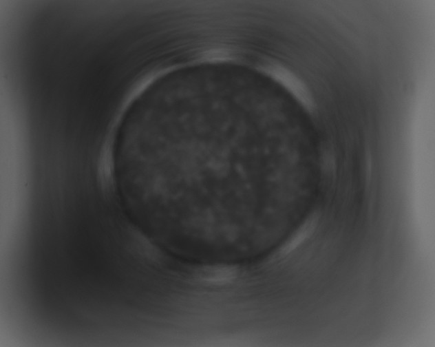 X0000101391023200807071153