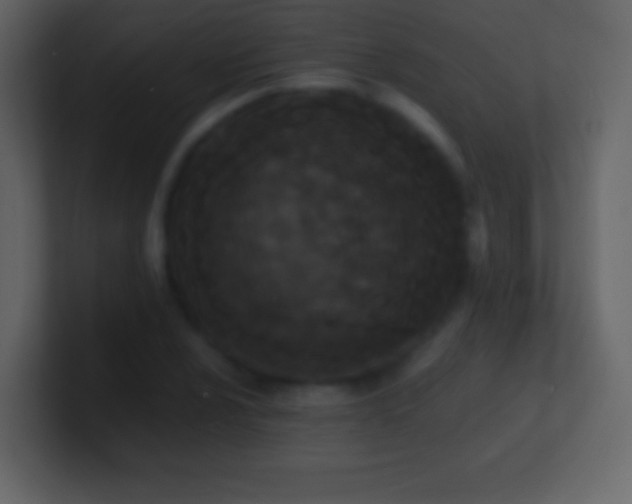 X0000101391024200807071153