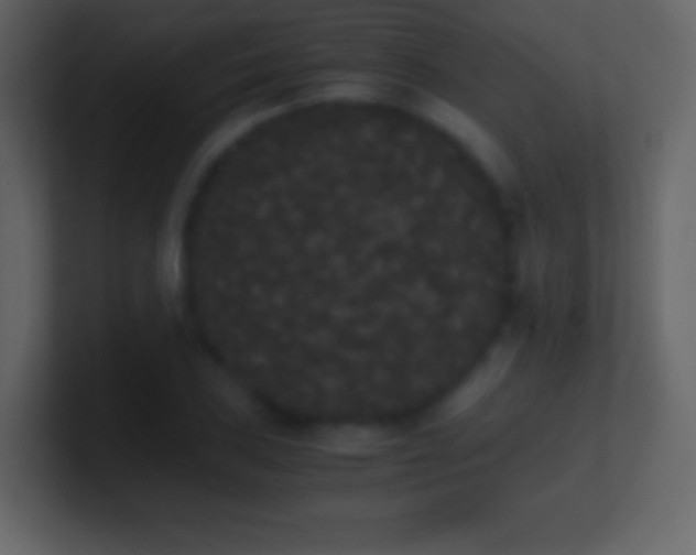 X0000101391027200807071153