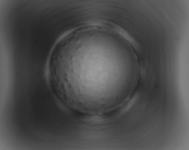 X0000101391028200807071153