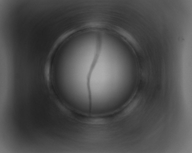 X0000101391030200807071153