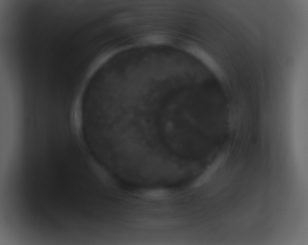X0000101391031200807071153