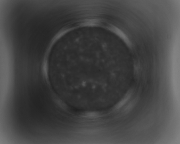 X0000101391035200807071153