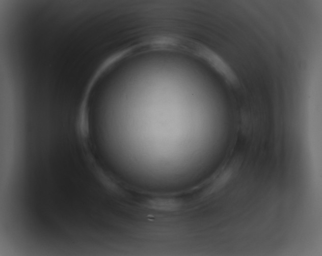X0000101391036200807071153