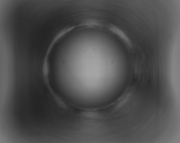 X0000101391040200807071153