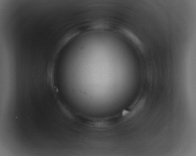 X0000101391041200807071153