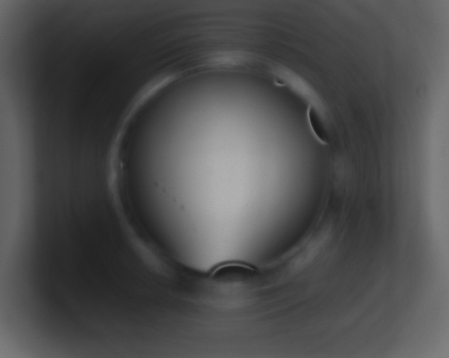 X0000101391042200807071153