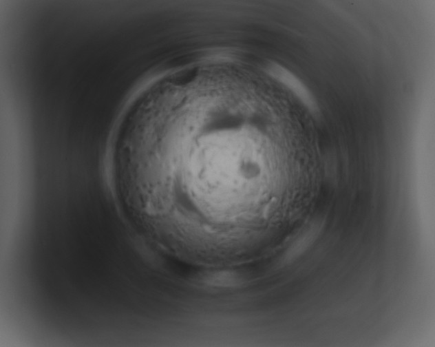 X0000101391043200807071153