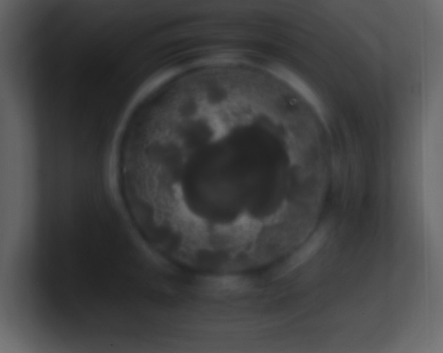 X0000101391045200807071153