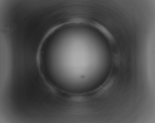 X0000101391046200807071153