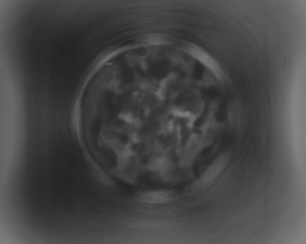 X0000101391047200807071153