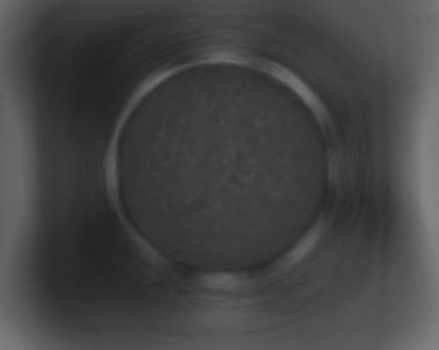 X0000101391048200807071153