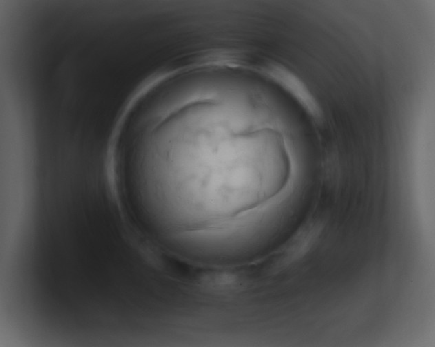 X0000101391051200807071153