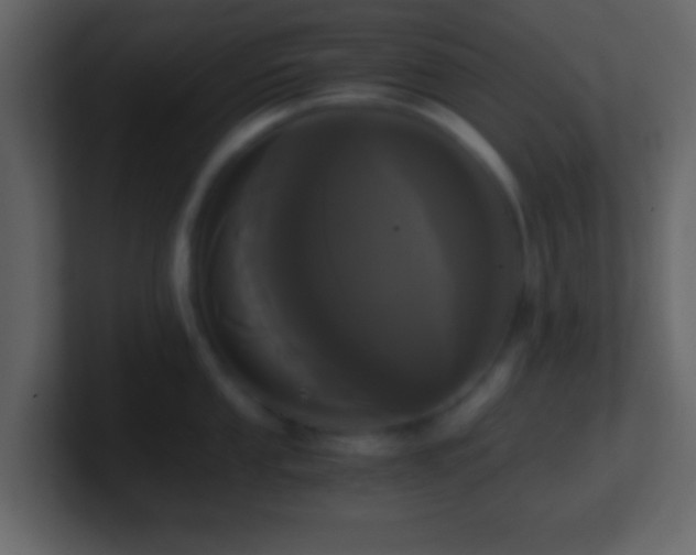 X0000101391053200807071153