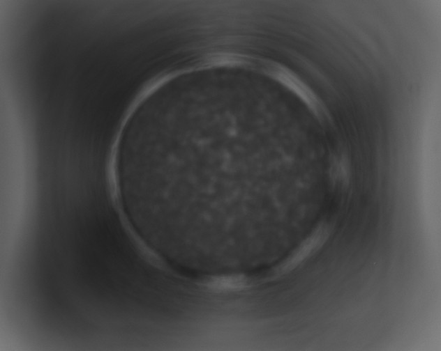 X0000101391055200807071153
