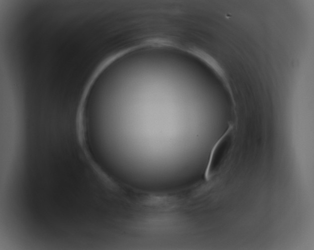 X0000101391056200807071153