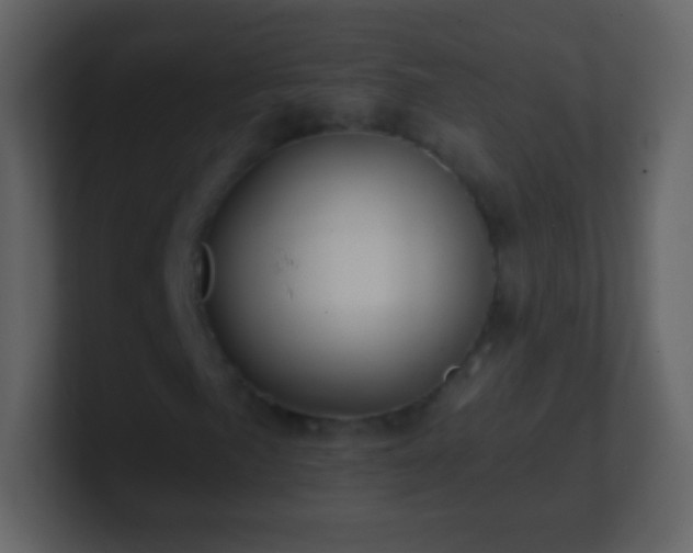 X0000101391057200807071153