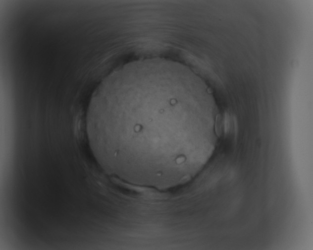 X0000101391059200807071153