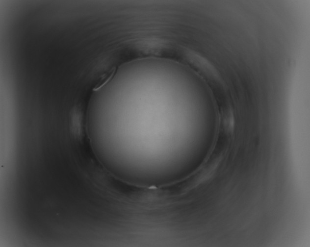 X0000101391060200807071153