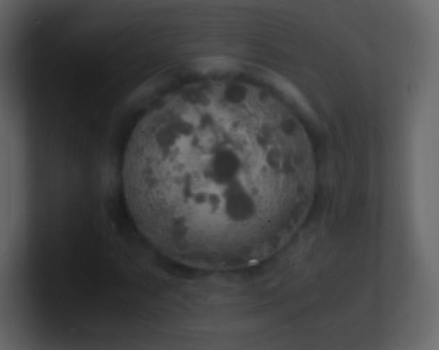 X0000101391063200807071152