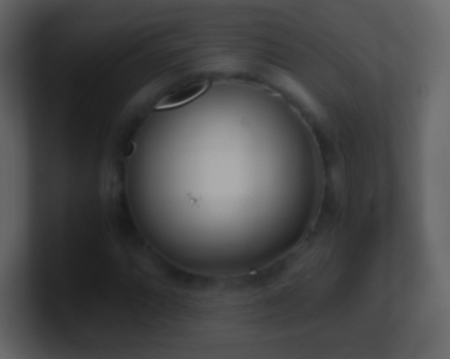X0000101391064200807071152