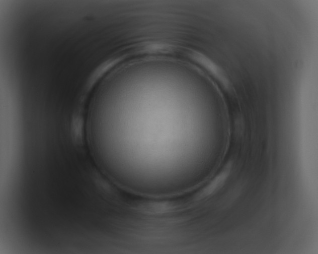 X0000101391066200807071152
