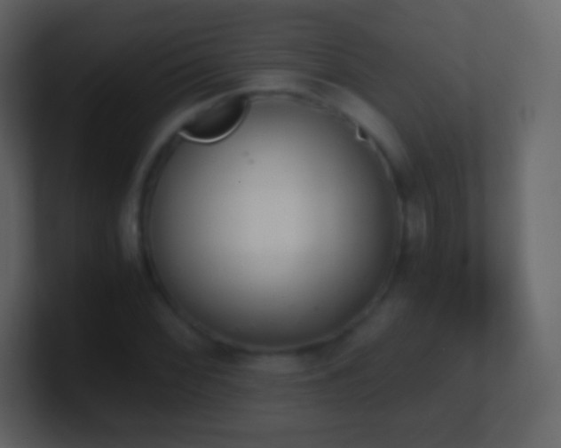 X0000101391068200807071152