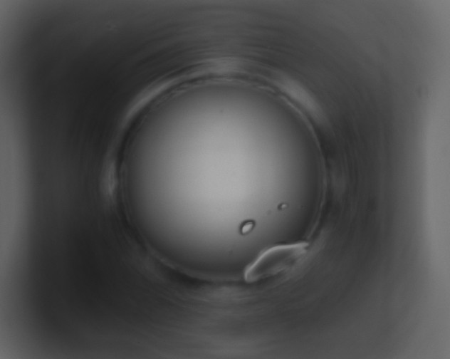 X0000101391070200807071152
