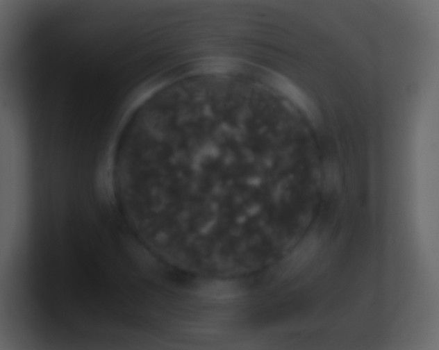 X0000101391071200807071152