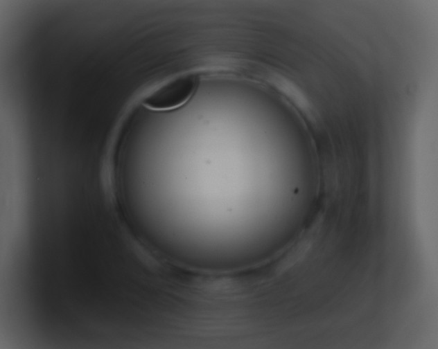 X0000101391072200807071152