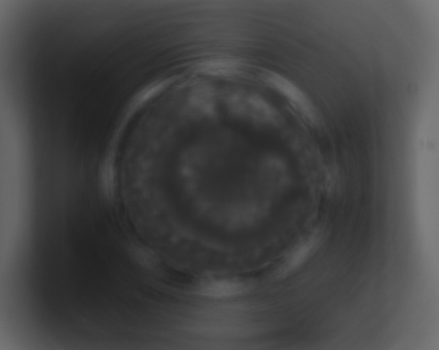 X0000101391074200807071152