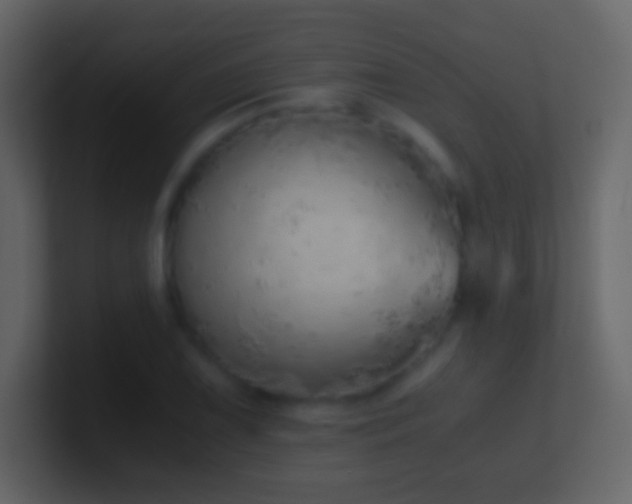 X0000101391075200807071152