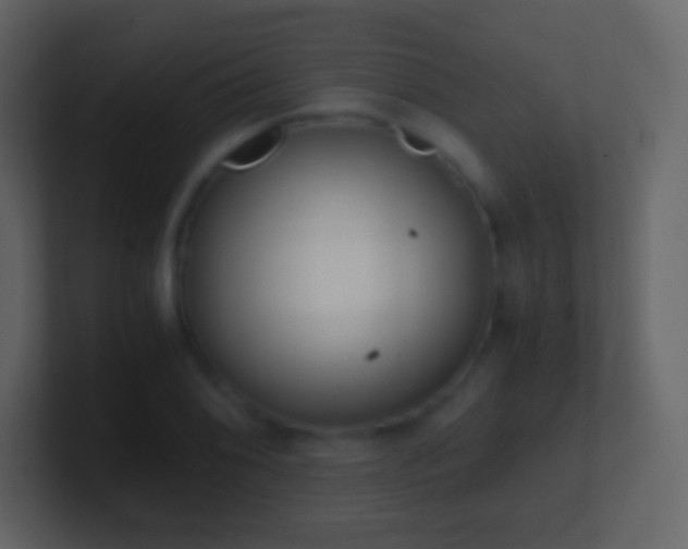 X0000101391076200807071152