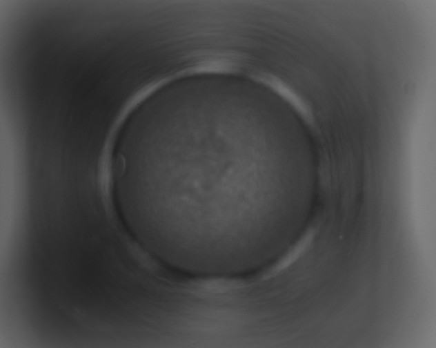 X0000101391077200807071152