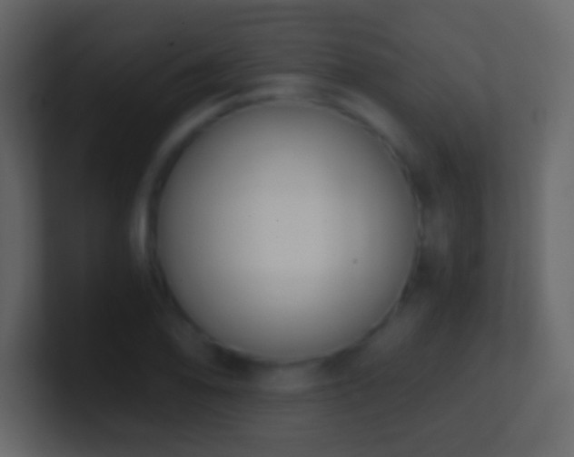 X0000101391078200807071152