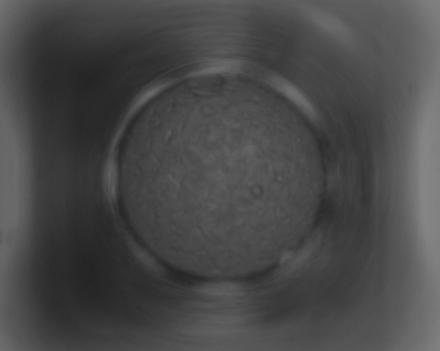 X0000101391079200807071152