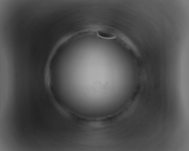 X0000101391080200807071152