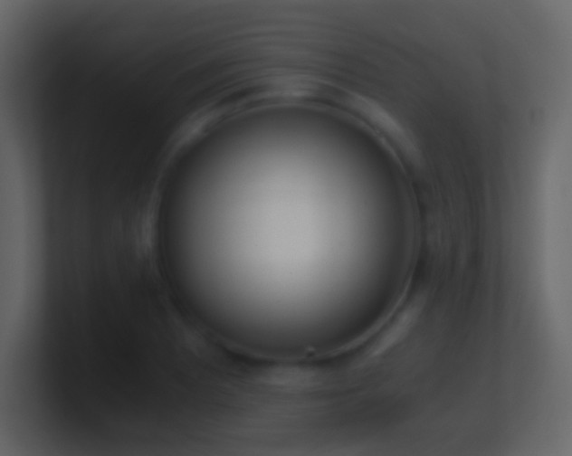 X0000101391081200807071152