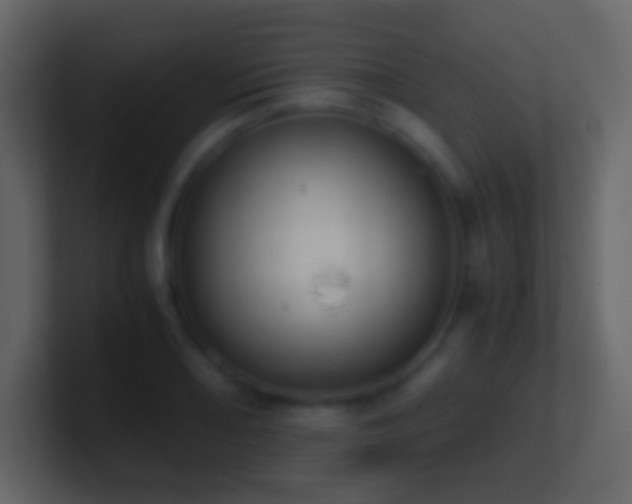 X0000101391082200807071152