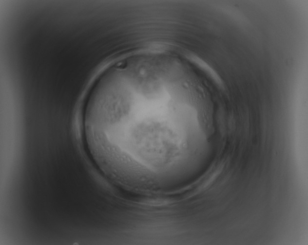 X0000101391083200807071152