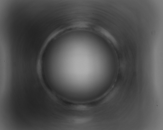 X0000101391085200807071152