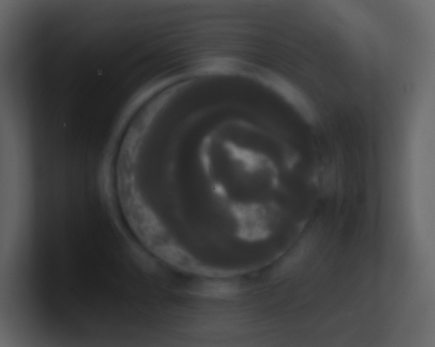 X0000101391086200807071152