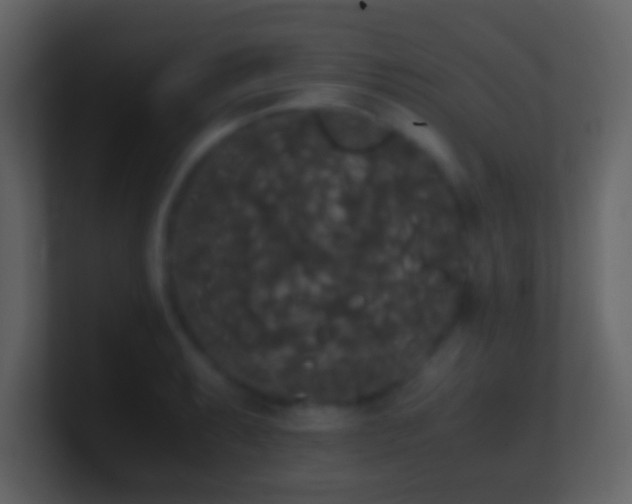 X0000101391087200807071152