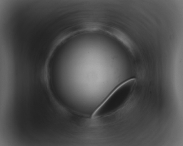 X0000101391088200807071152